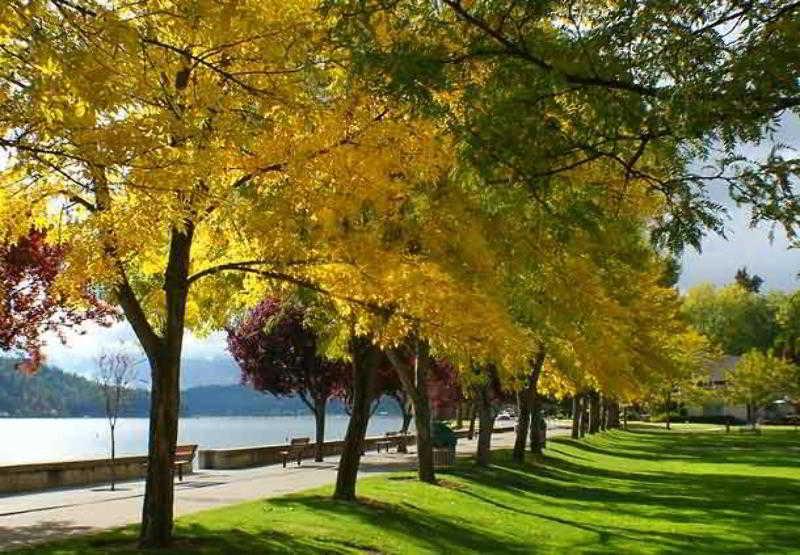 Springhill Suites Coeur D'Alene Dış mekan fotoğraf