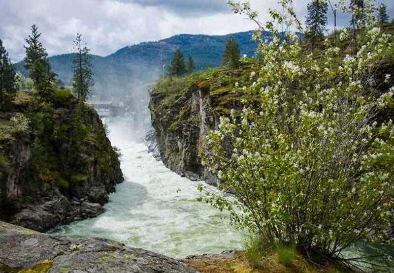 Springhill Suites Coeur D'Alene Dış mekan fotoğraf